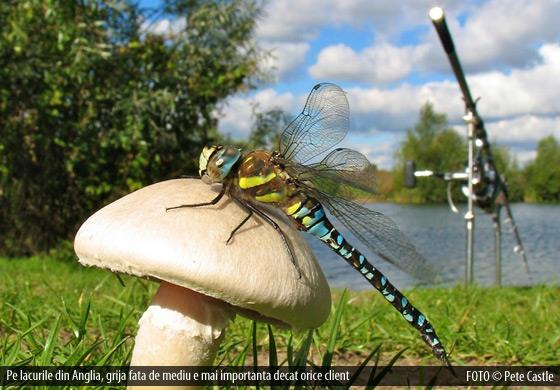 Interesant II :P - lac-anglia1.jpg